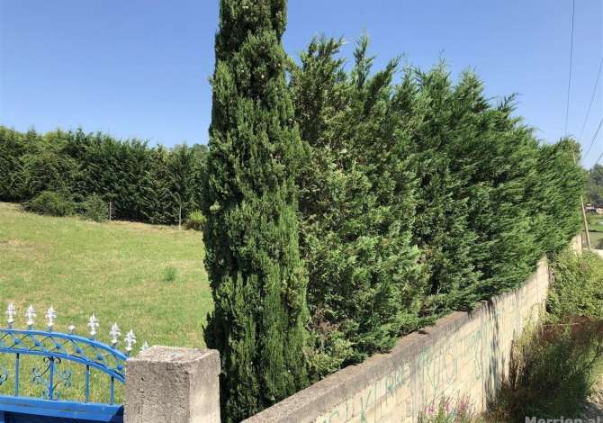 Truall ose Toke ne Tirane - 100,000 Euro