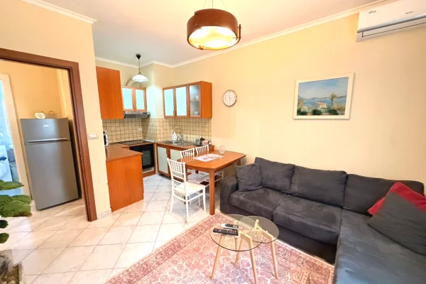 Shtepi me qera Apartament ne Tirane, 1+1, Mobilimi Pjeserisht e mobiluar, Pagesa 600  Euro.