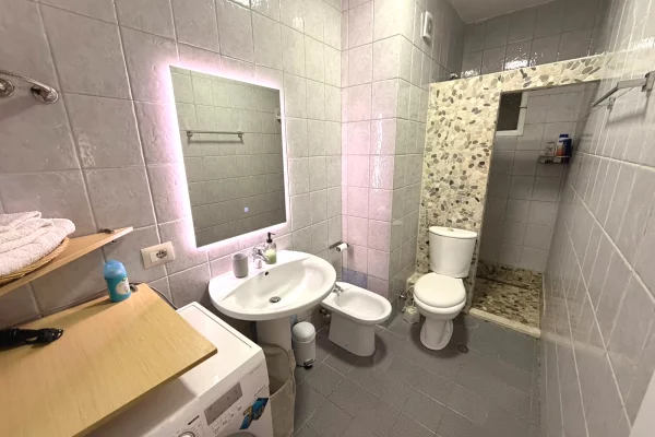 Shtepi me qera Apartament ne Tirane, 1+1, Mobilimi Pjeserisht e mobiluar, Pagesa 600  Euro.