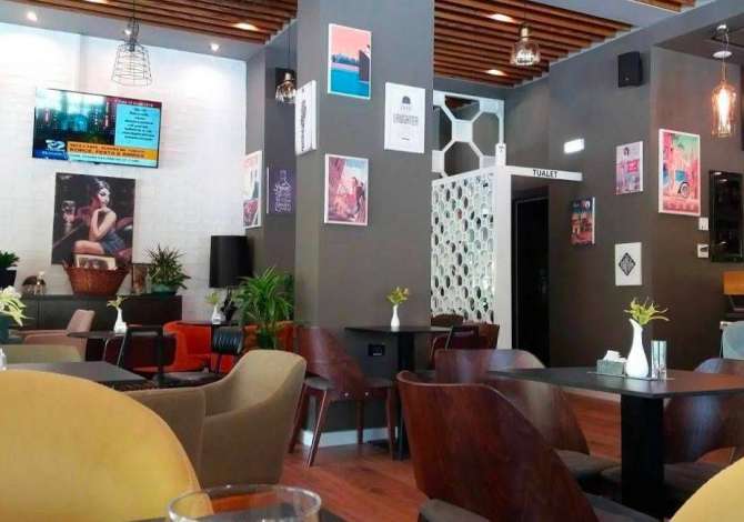 Job Offers for Sanitary-Cleaner in Vlora