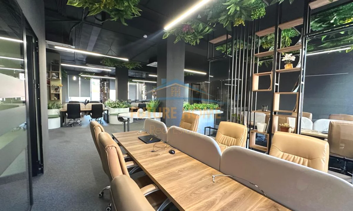 Qera,Zyre Luksoze,Kompleksi Delijorgji !