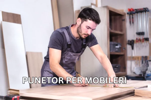 Njoftime Pune per Punëtor për Prodhim dhe Montim Mobiljesh ne Elbasan