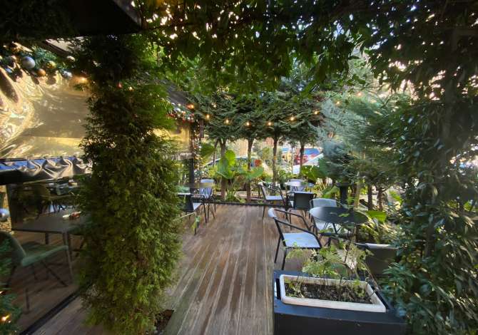 Lokal me qera prane Klan