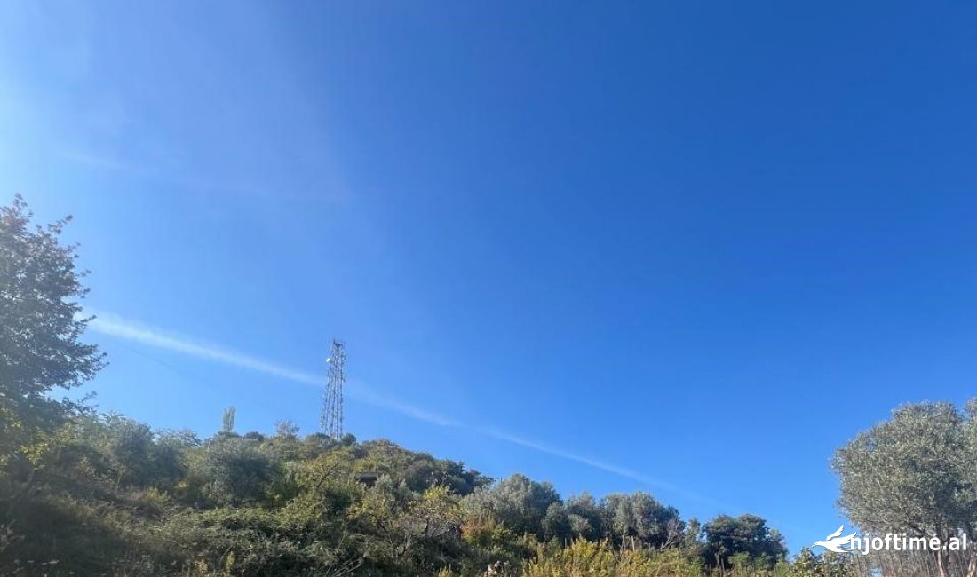 Shitet 1600m2 Toke ne Misto Mame  📍