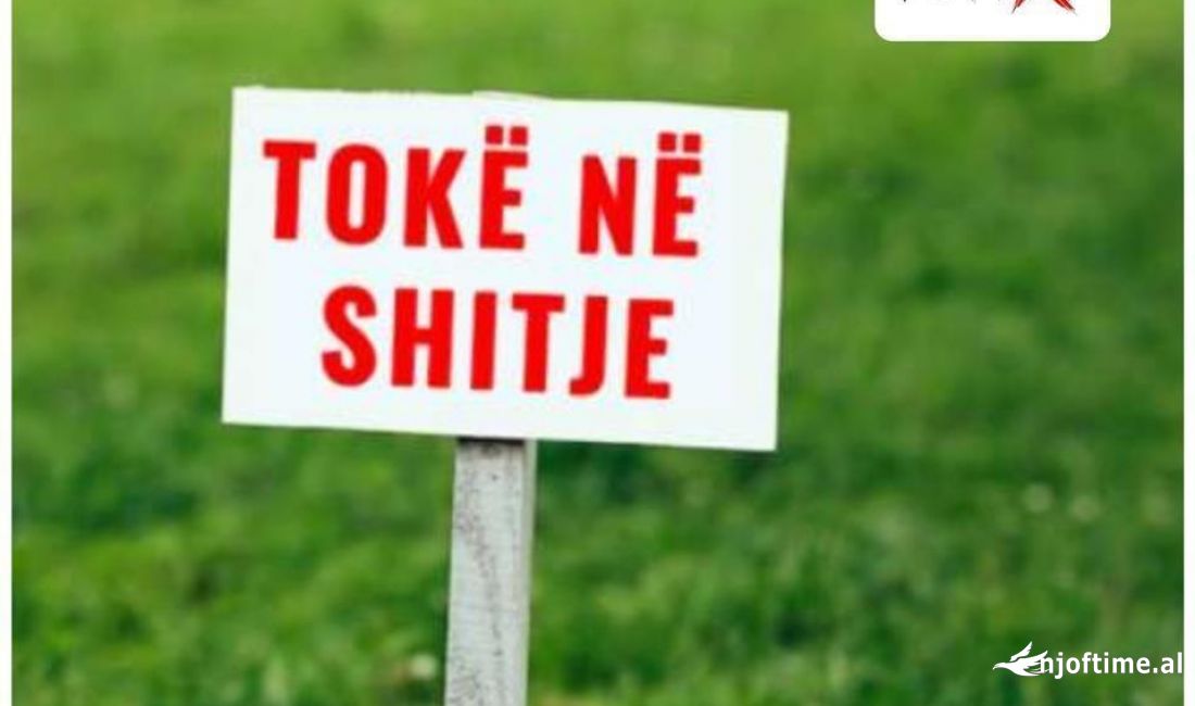 Toke per Shitje ne Kamez , Te rruga Kongresi Lushnjes 📍