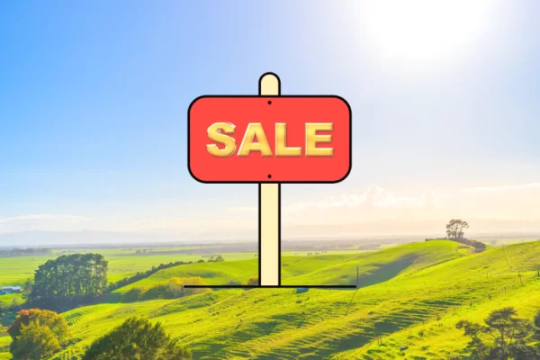 TOKE NE SHITJE NE KASHAR 