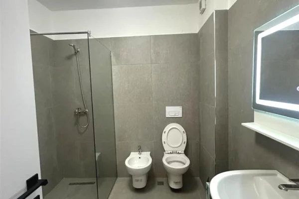 Shtepi me qera Apartament ne Tirane, 1+1, Mobilimi E mobiluar, Pagesa 69,999  Leke.