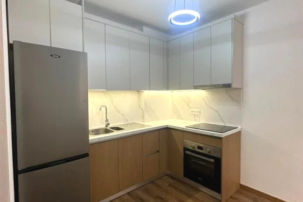 Shtepi me qera Apartament ne Tirane, 1+1, Mobilimi E mobiluar, Pagesa 69,999  Leke.