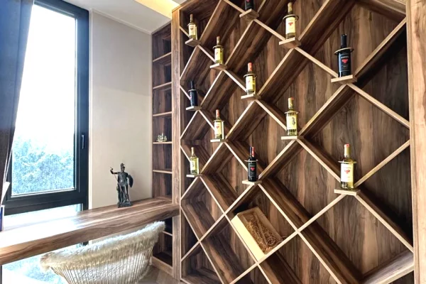 Apartment for rent in Tirana 1+1, Furnished