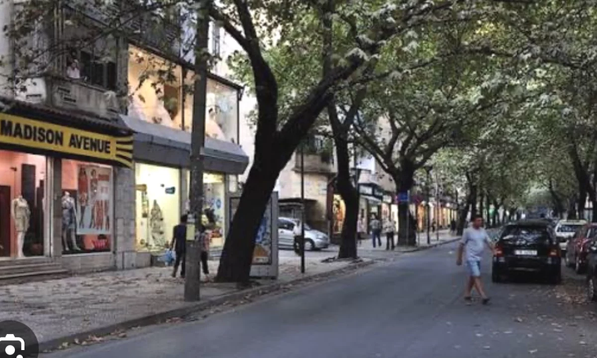 Ambient biznesi me qira ne Bllok 