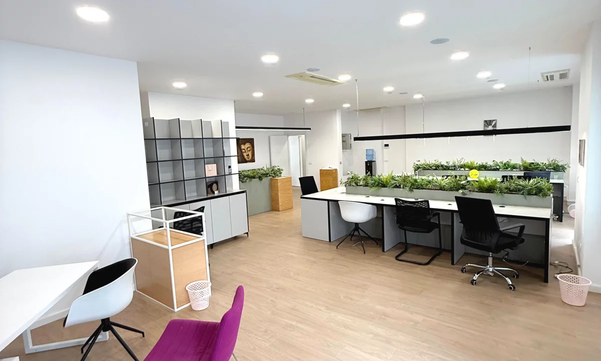 Ambient per zyra me qira Te Delijorgji 