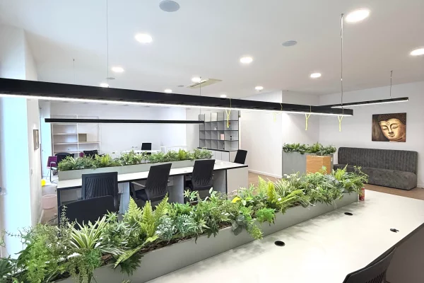 Ambient per zyra me qira Te Delijorgji 