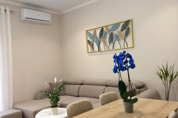 Shtepi me qera Apartament ne Tirane, 1+1, Mobilimi E mobiluar, Pagesa 60,000  Leke.