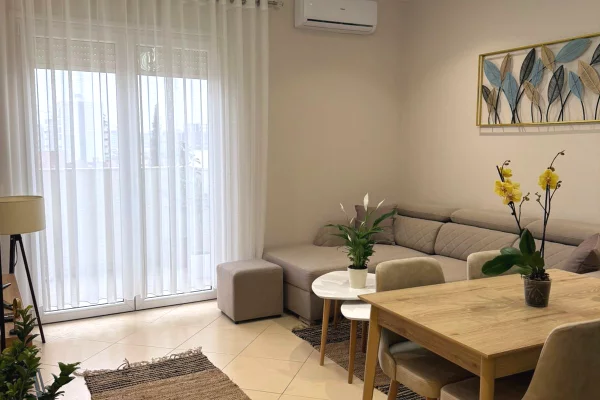 Shtepi me qera Apartament ne Tirane, 1+1, Mobilimi E mobiluar, Pagesa 60,000  Leke.