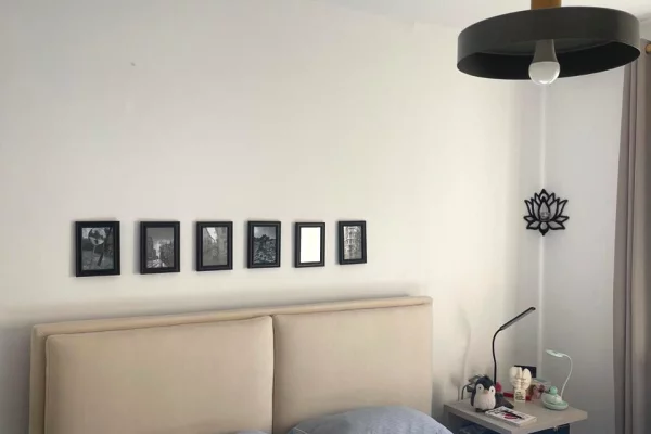 Shtepi ne shitje Apartament ne Tirane, 1+1, Mobilimi E mobiluar, Pagesa 79,000  Euro.