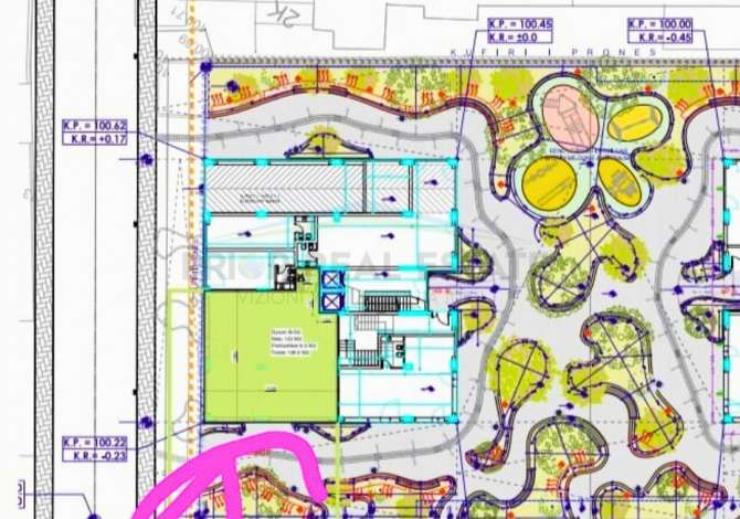 SHITET DYQAN OSE NJESI TREGETARE!