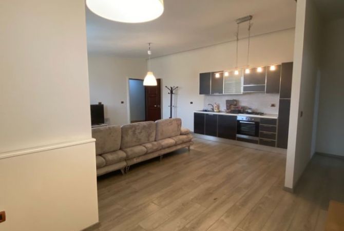 Shtepi me qera Apartament ne Tirane, 1+1, Mobilimi E mobiluar, Pagesa 500  Euro.
