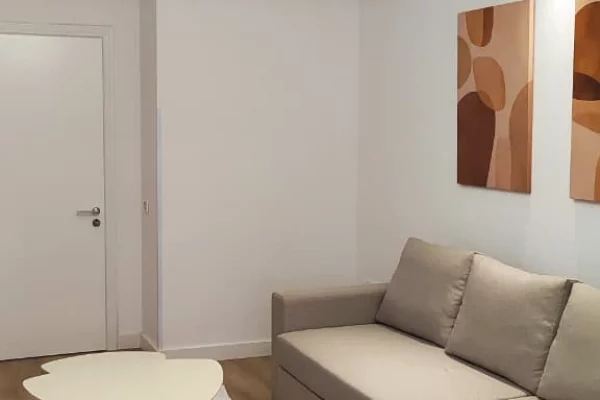 Apartment for rent in Tirana 1+1, Furnished
