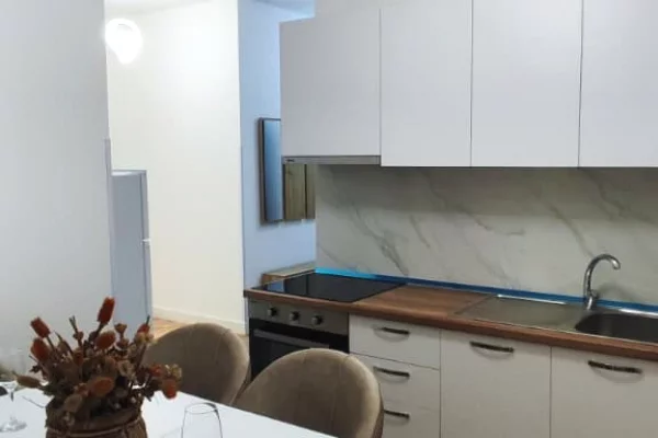 Apartment for rent in Tirana 1+1, Furnished