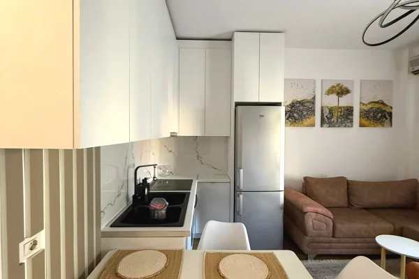 Apartment for rent in Tirana 1+1, Furnished