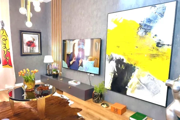 Shtepi me qera Apartament ne Tirane, 1+1, Mobilimi E mobiluar, Pagesa 800  Euro.