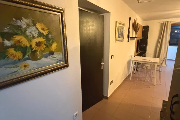 Apartment for rent in Tirana 2+1, Furnished