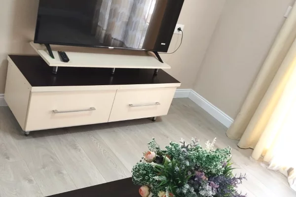 Shtepi me qera Apartament ne Tirane, 1+1, Mobilimi E mobiluar, Pagesa 500  Euro.