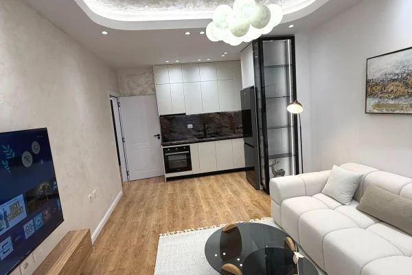 Shtepi ne shitje Apartament ne Tirane, 1+1, Mobilimi E mobiluar, Pagesa 109,000  Euro.