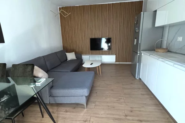 Shtepi me qera Apartament ne Tirane, 1+1, Mobilimi E mobiluar, Pagesa 600  Euro.