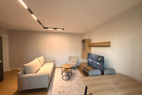 Shtepi ne shitje Apartament ne Tirane, 1+1, Mobilimi E mobiluar, Pagesa 149,000  Euro.
