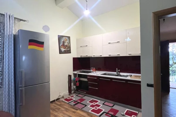 Appartamento in affitto a Tirana 1+1, Arredato