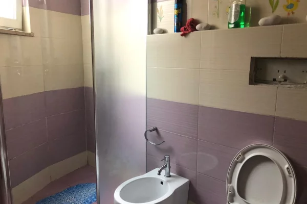 Shtepi ne shitje Apartament ne Tirane, 2+1, Mobilimi E mobiluar, Pagesa 250,000  Euro.