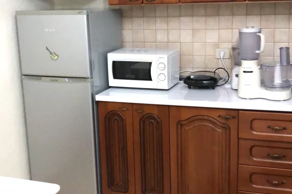 Shtepi me qera Apartament ne Tirane, 1+1, Mobilimi E mobiluar, Pagesa 550  Euro.