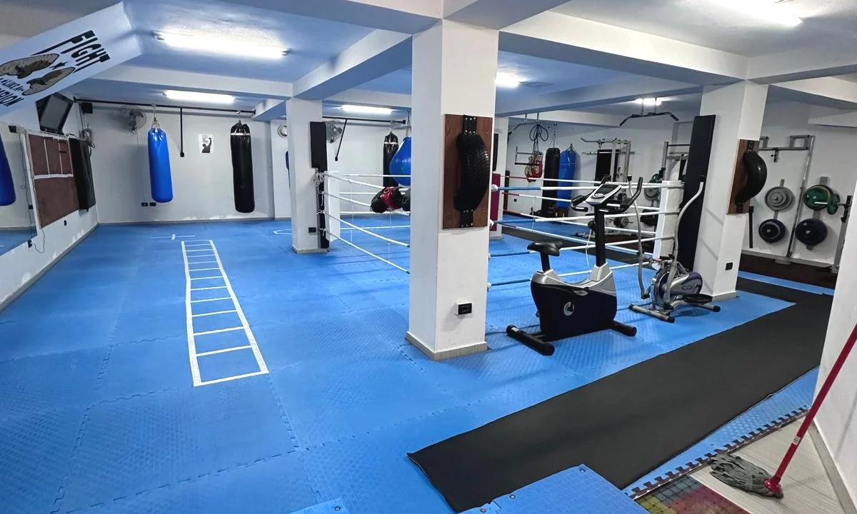 JEPET ME QIRA PALESTER NE XHAMMLIK 