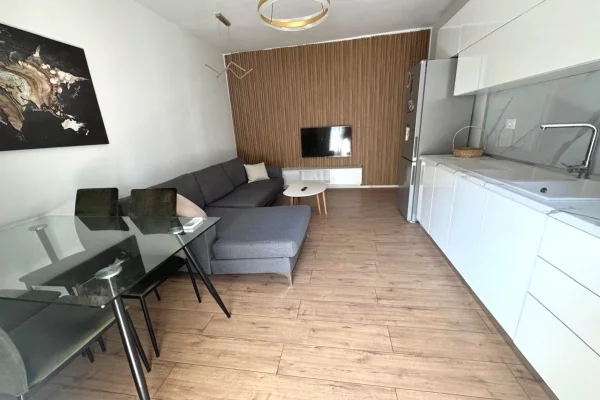Shtepi me qera Apartament ne Tirane, 1+1, Mobilimi E mobiluar, Pagesa 500  Euro.