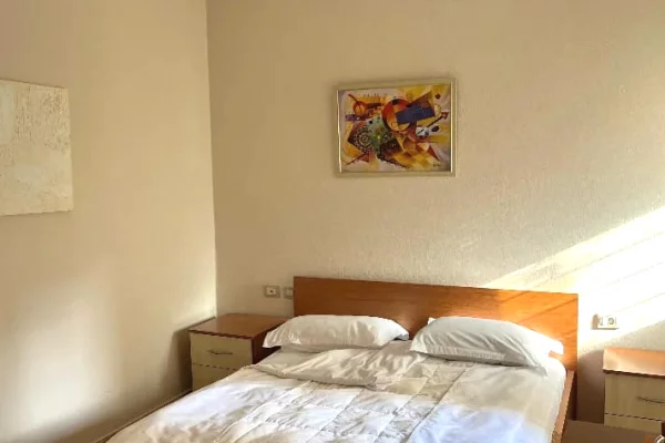 Shtepi me qera Apartament ne Tirane, 1+1, Mobilimi E mobiluar, Pagesa 600  Euro.