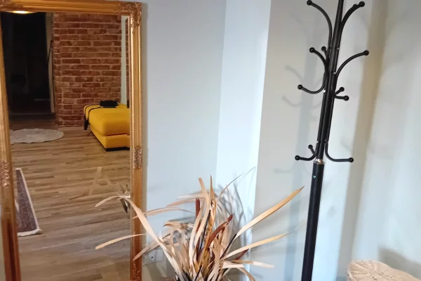 Shtepi me qera Apartament ne Tirane, 1+1, Mobilimi E mobiluar, Pagesa 530  Euro.