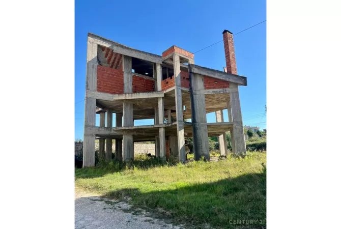 Shitet godinë 3-katëshe te mbikalimi i Rinasit