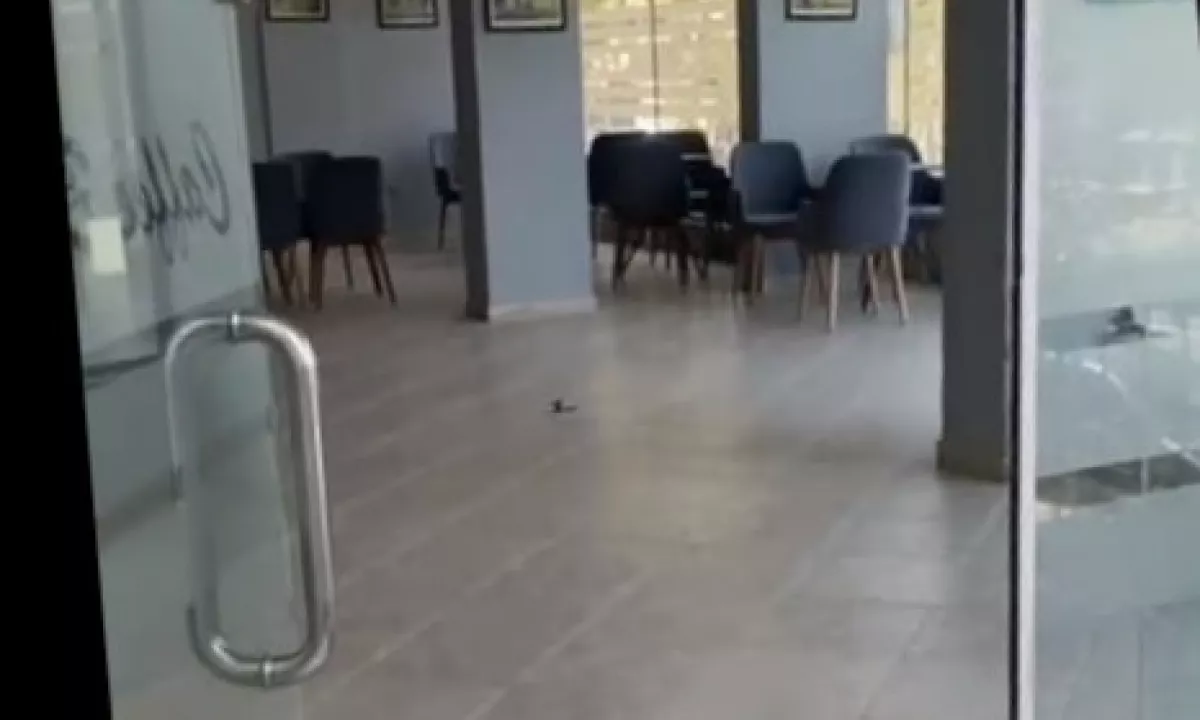 Shitet lokal I mobiluar pjeserisht, tek Bashkia Kamez