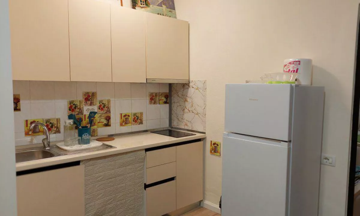 Shtepi me qera Apartament ne Tirane, 1+1, Mobilimi E mobiluar, Pagesa 600  Euro.