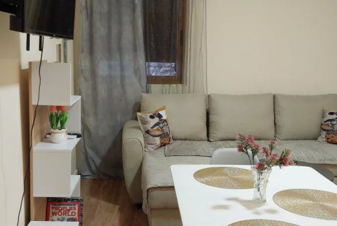 Shtepi me qera Apartament ne Tirane, 1+1, Mobilimi E mobiluar, Pagesa 600  Euro.
