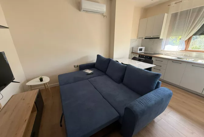 Shtepi me qera Apartament ne Tirane, 1+1, Mobilimi E mobiluar, Pagesa 500  Euro.