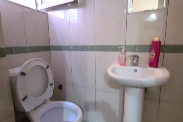 Shtepi me qera Apartament ne Tirane, 1+1, Mobilimi E mobiluar, Pagesa 46,000  Leke.