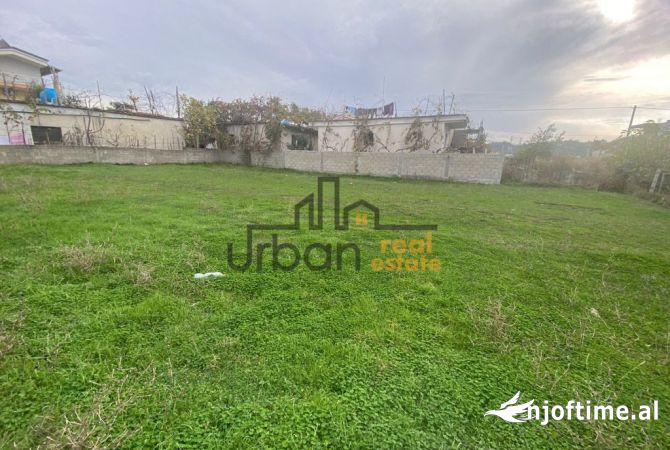 Truall ose Toke ne Tirane - 99,000 Euro