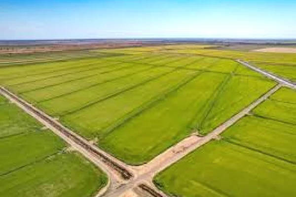 Shitet, Tokë, Babrru, Tiranë - 60€ m² | 4000 m²