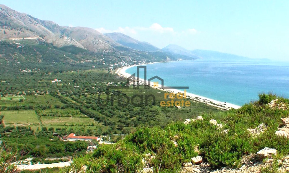 Shitet, Toke, Borsh Plazh - 540,000Euro | 1000 m2