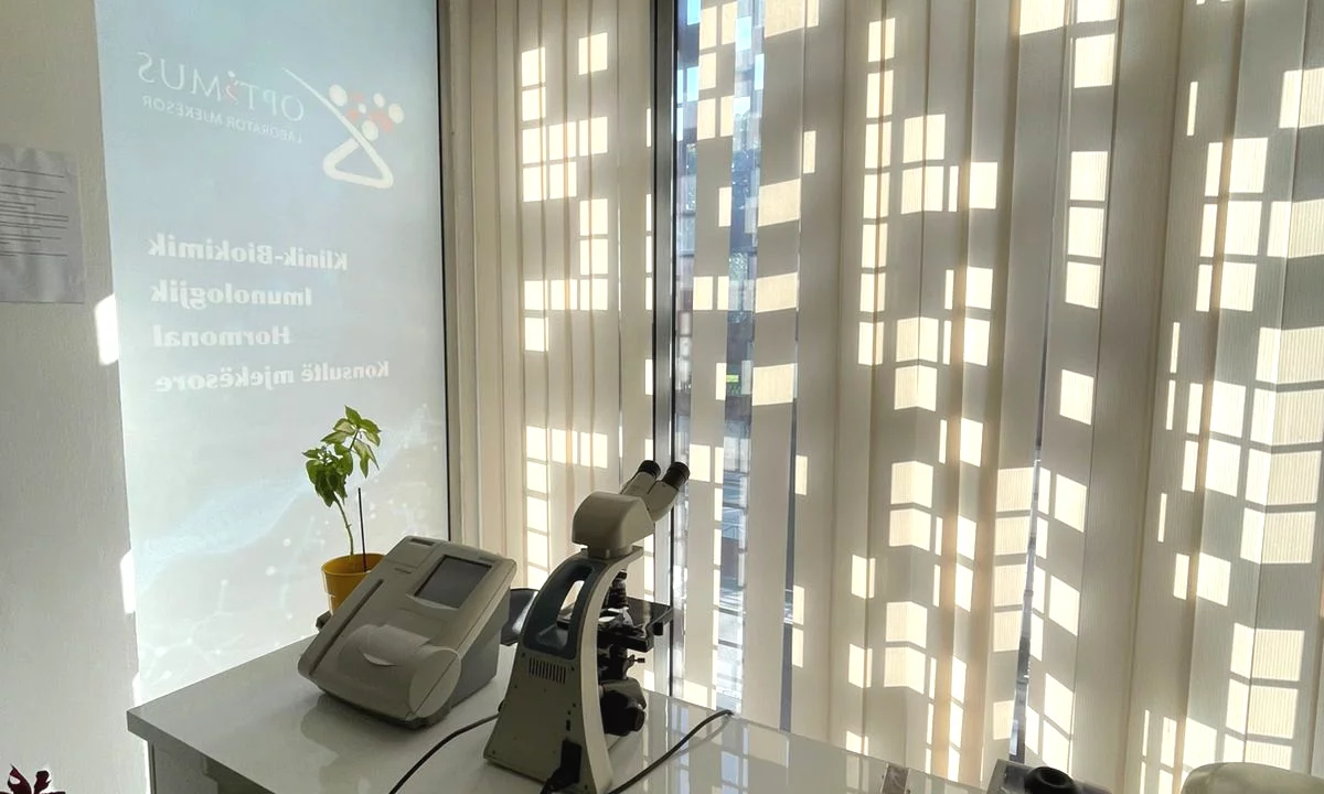 Qera, Ambient Biznesi, Shkolla e Bashkuar, Tirane - 50.000 Leke | 75 m2