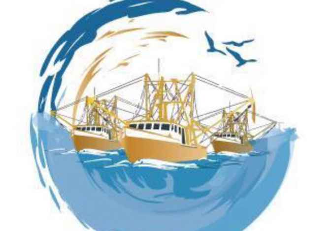 Njoftime Pune per Shitese ne Tirane