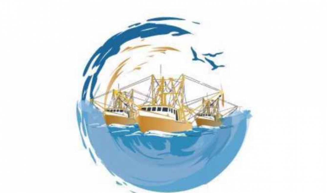 Offerte di lavoro a Tirana, Profession Sanitare , , Pagamento 30,000  Leke.