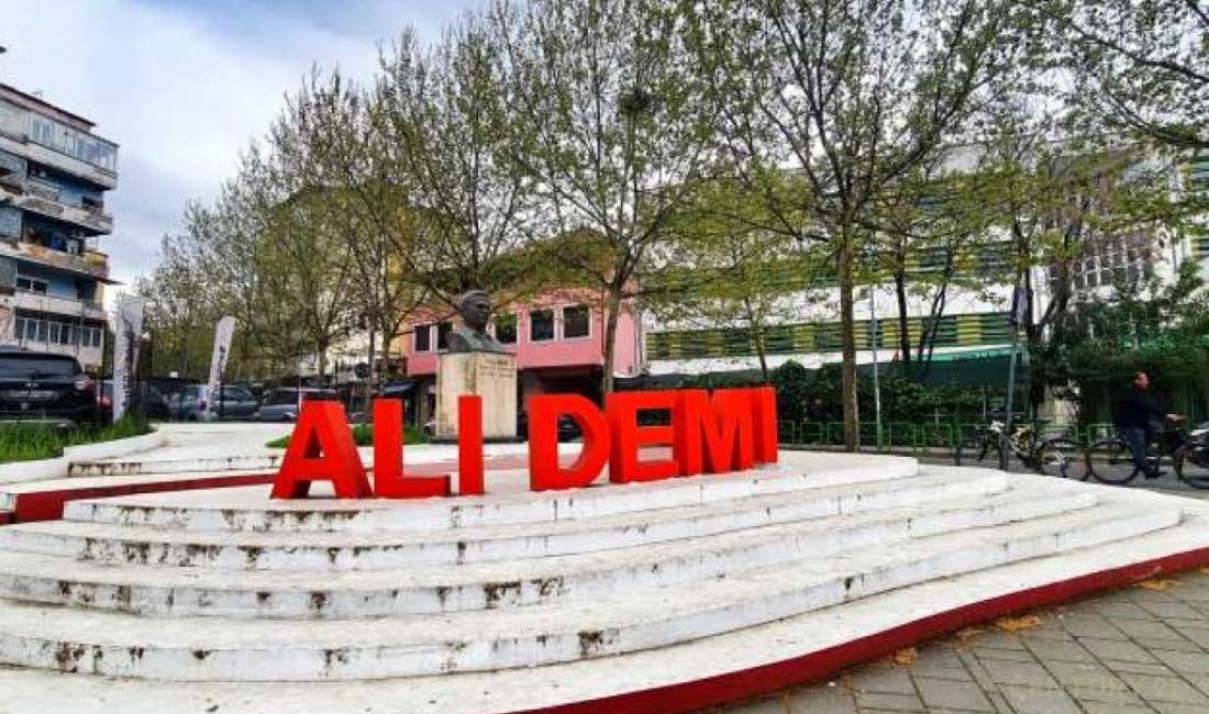 Ambient Biznesi buze rruges Ali Demi